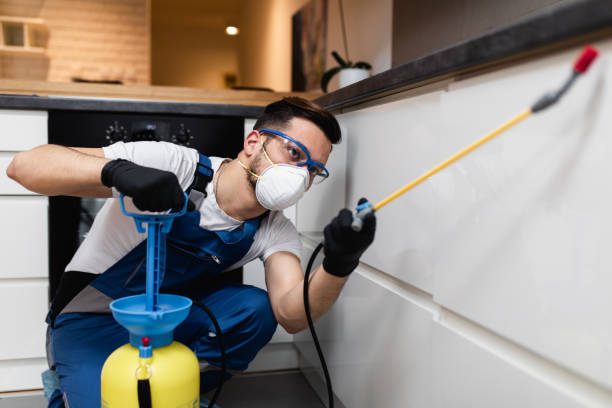 Trusted Nashville, AR Pest Control Experts