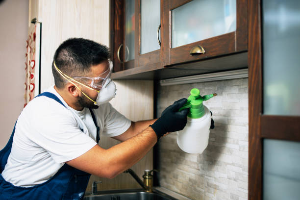 Best Pest Removal Services  in Nashville, AR
