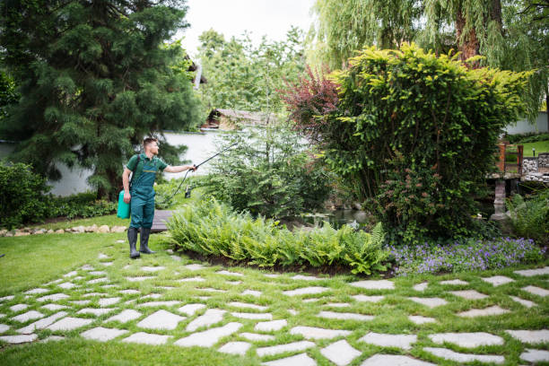 Best Residential Pest Control  in Nashville, AR
