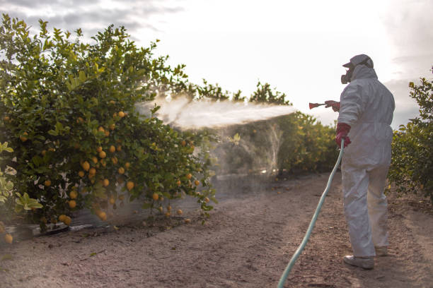 Insect Control in Nashville, AR