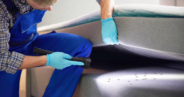 Best Flea Control Services  in Nashville, AR