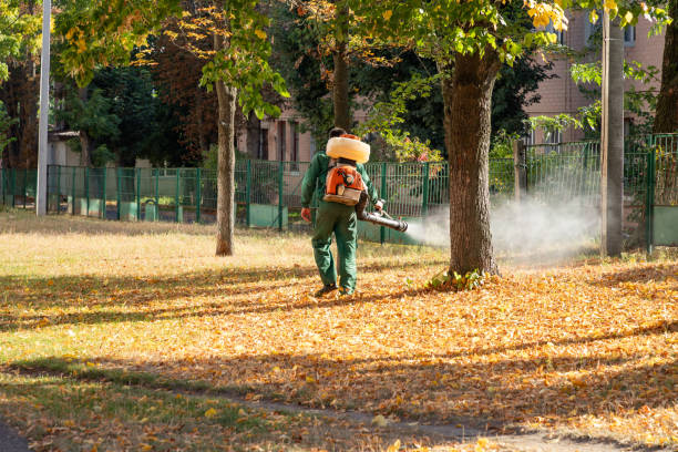 Best Pest Prevention Services  in Nashville, AR