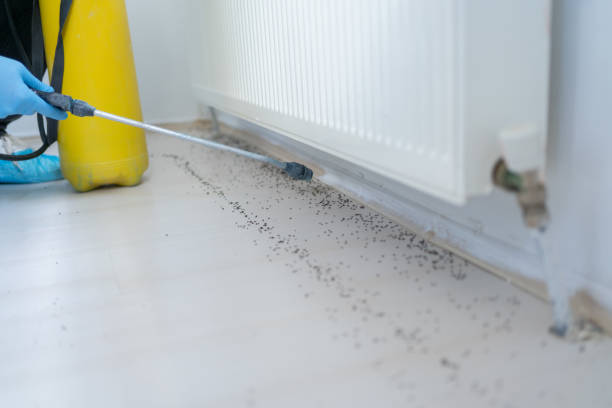 Best Pest Inspection Near Me  in Nashville, AR