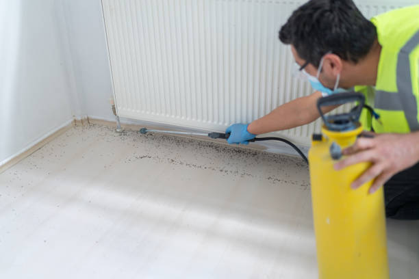 Best Best Pest Control Companies  in Nashville, AR
