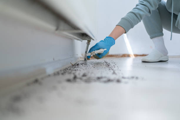 Best Affordable Pest Control Services  in Nashville, AR
